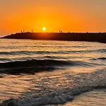Casa Amarela - O Seu Oásis Na Floresta Praia de Mira