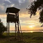 Casa Amarela - O Seu Oásis Na Floresta Praia de Mira