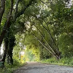 Villa Casa Amarela - O Seu Oásis Na Floresta Praia de Mira