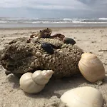 Casa Amarela - O Seu Oásis Na Floresta Villa *