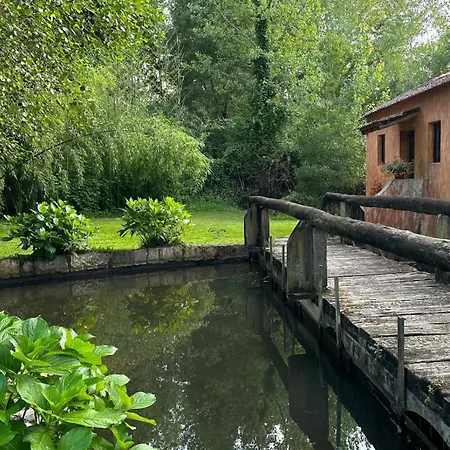 Casa Amarela - O Seu Oasis Na Floresta Villa *