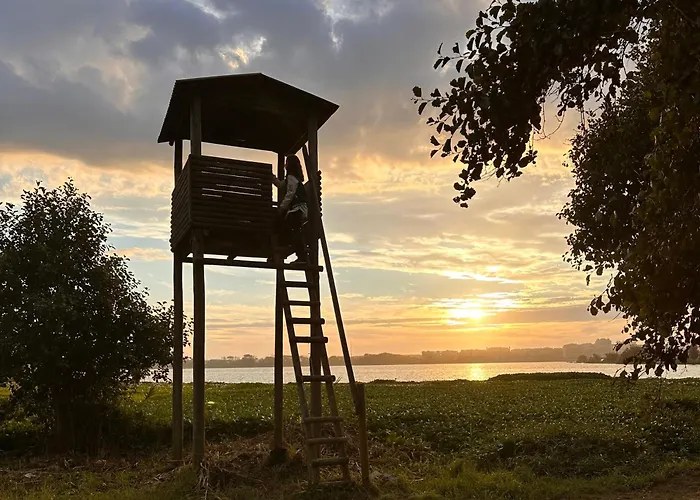 Casa Amarela - O Seu Oasis Na Floresta Praia de Mira