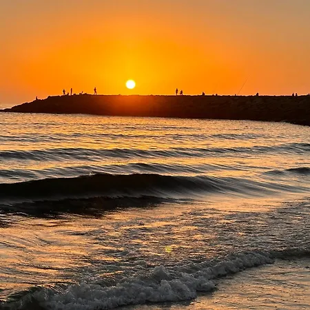 Casa Amarela - O Seu Oasis Na Floresta 프라이아 데 미라