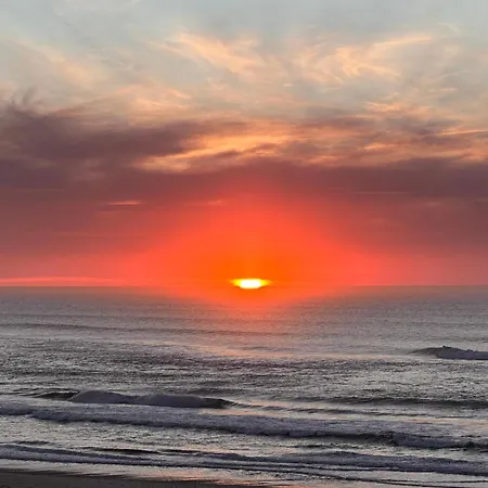 Casa Amarela - O Seu Oasis Na Floresta 빌라