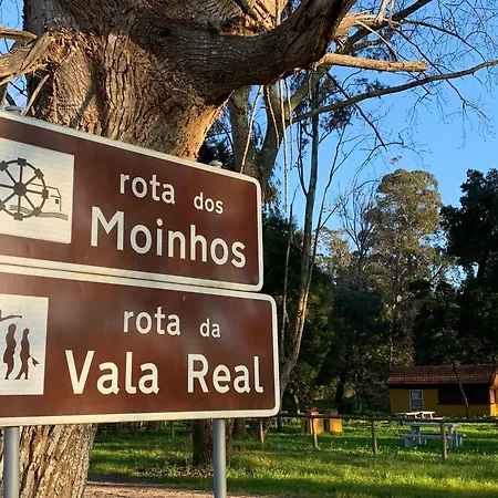 Casa Amarela - O Seu Oasis Na Floresta * 프라이아 데 미라