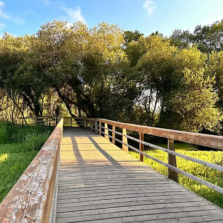 빌라 Casa Amarela - O Seu Oasis Na Floresta 프라이아 데 미라