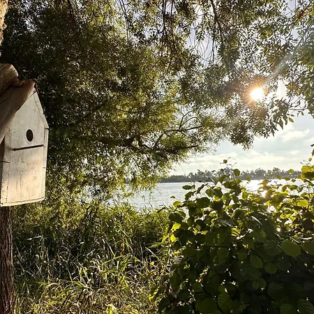 빌라 Casa Amarela - O Seu Oasis Na Floresta *