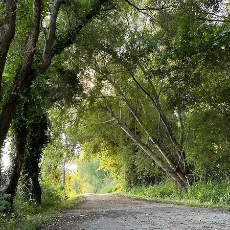 빌라 Casa Amarela - O Seu Oasis Na Floresta 프라이아 데 미라