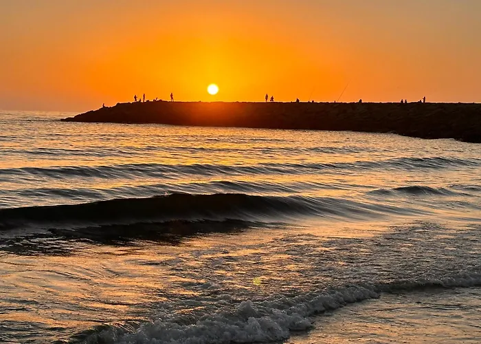 Casa Amarela - O Seu Oasis Na Floresta Praia de Mira