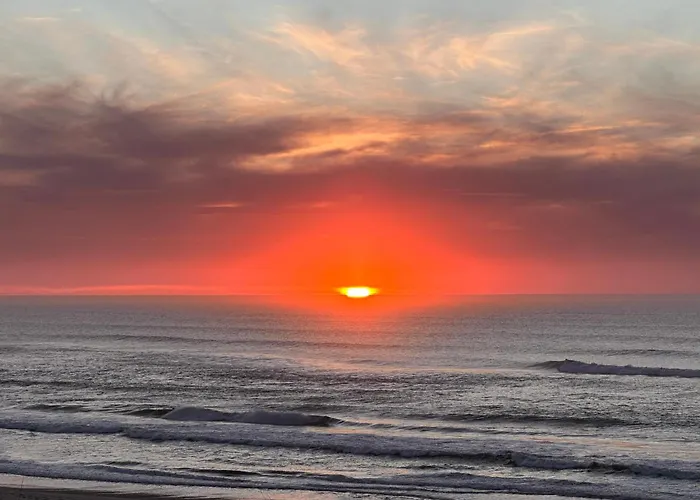 Casa Amarela - O Seu Oasis Na Floresta Vila