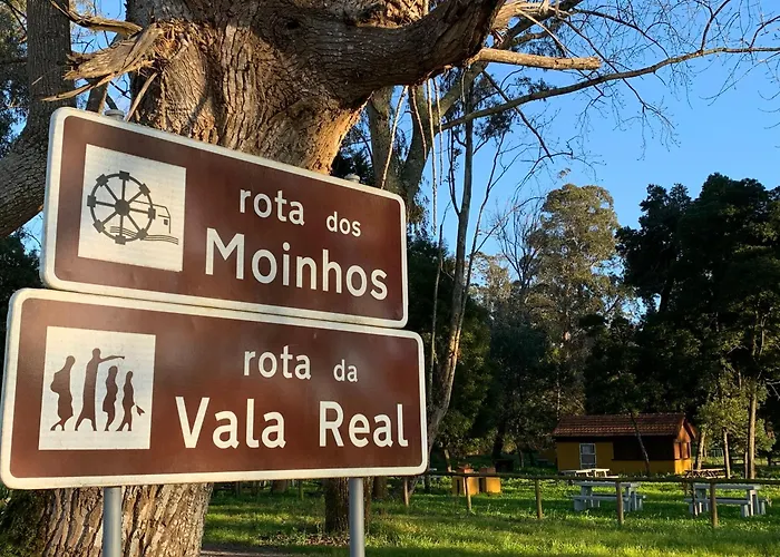 Casa Amarela - O Seu Oasis Na Floresta * Praia de Mira