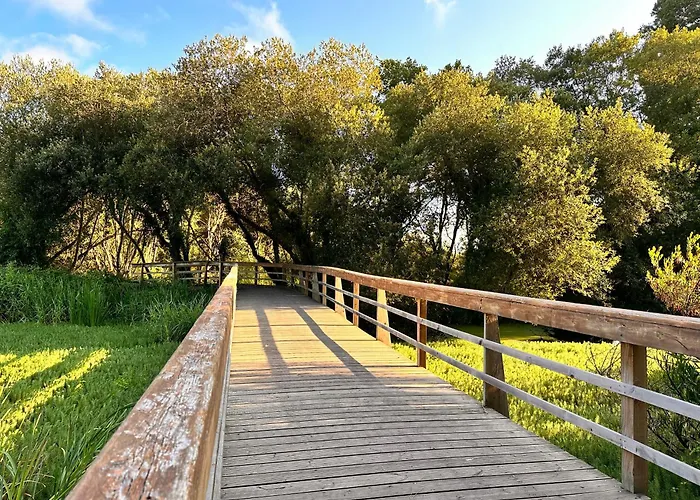 Vila Casa Amarela - O Seu Oasis Na Floresta Praia de Mira