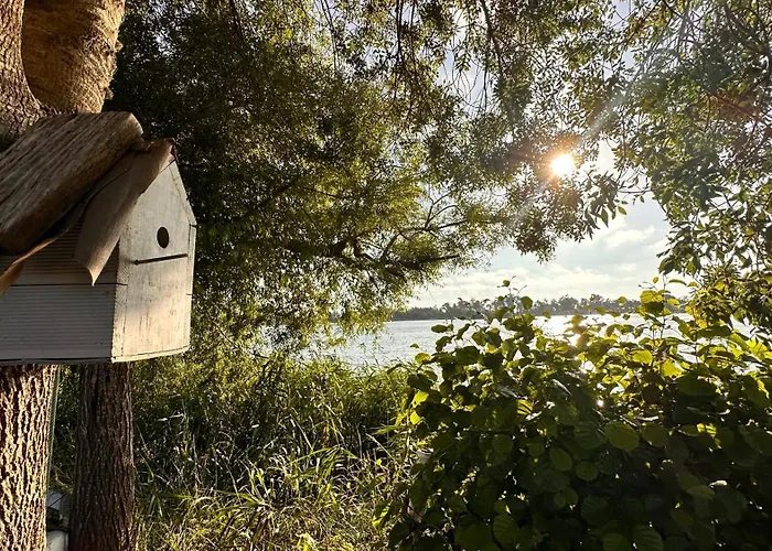 Vila Casa Amarela - O Seu Oasis Na Floresta *