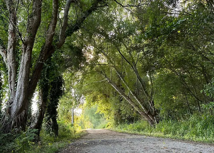 Vila Casa Amarela - O Seu Oasis Na Floresta Praia de Mira
