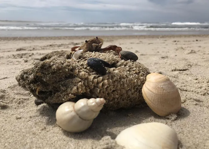 Casa Amarela - O Seu Oasis Na Floresta Vila *