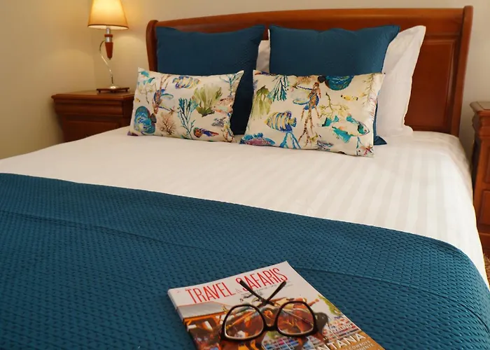 Vila Casa Amarela - O Seu Oasis Na Floresta Praia de Mira